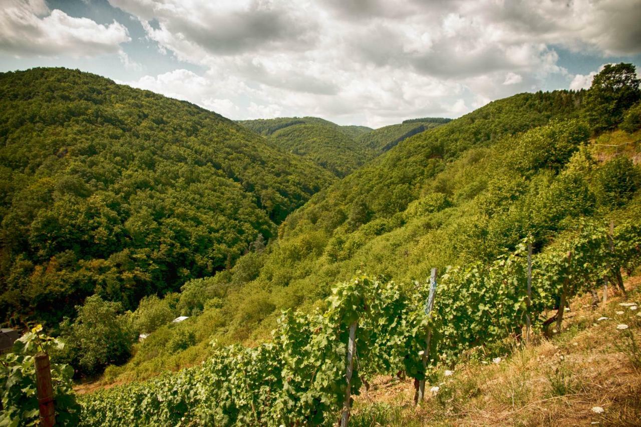 Ferienwohnungen Lithos Oberwesel Buitenkant foto